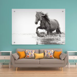 תמונת זכוכית סוס מים לסלון לעיצוב הבית